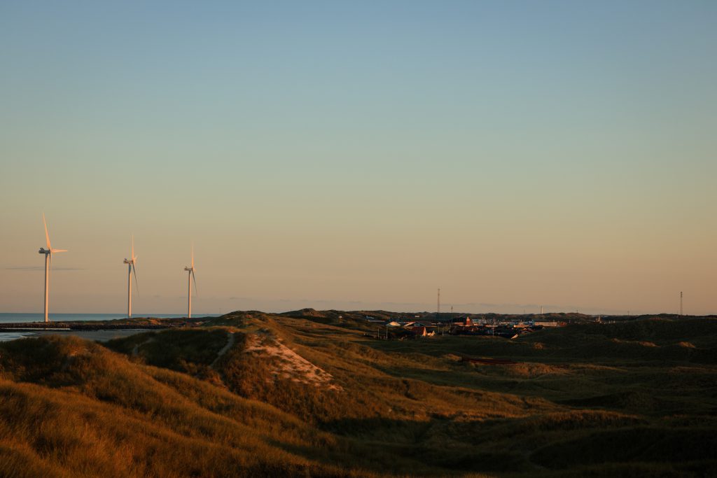 Die Dünenlandschaft in Hvide Sande bei Sonnenaufgang. Vor der Hafeneinfahrt stehen drei große Windräder.